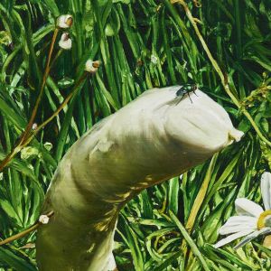 2025 saucisse de veau  26x35cm